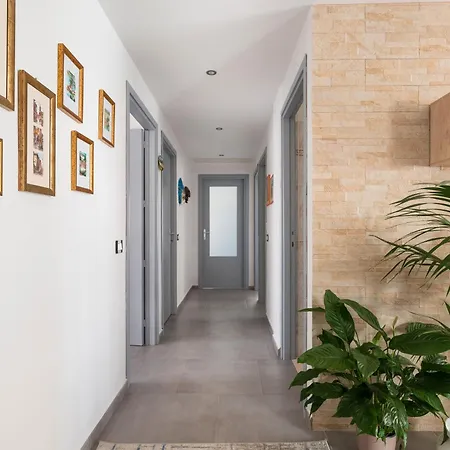 Casa Zinnias *